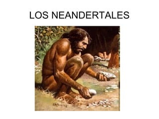 LOS NEANDERTALES
 