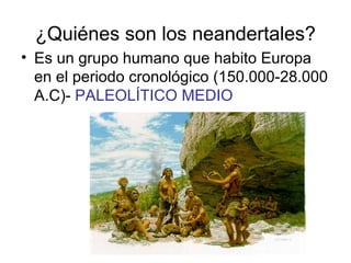 ¿Quiénes son los neandertales?
• Es un grupo humano que habito Europa
en el periodo cronológico (150.000-28.000
A.C)- PALE...