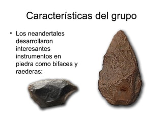 Características del grupo
• Los neandertales
desarrollaron
interesantes
instrumentos en
piedra como bifaces y
raederas:
 