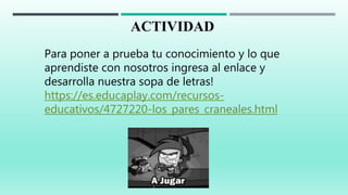 ACTIVIDAD
Para poner a prueba tu conocimiento y lo que
aprendiste con nosotros ingresa al enlace y
desarrolla nuestra sopa de letras!
https://es.educaplay.com/recursos-
educativos/4727220-los_pares_craneales.html
 