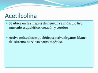 Acetilcolina
 Se ubica en la sinapsis de neurona a músculo liso,
 músculo esquelético, corazón y cerebro

 Activa músculos esqueléticos; activa órganos blanco
 del sistema nervioso parasimpático.
 