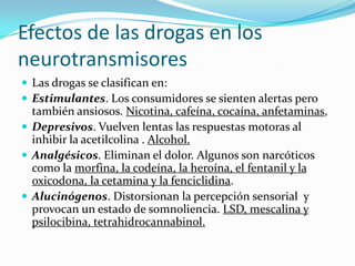 Efectos de las drogas en los
neurotransmisores
 Las drogas se clasifican en:
 Estimulantes. Los consumidores se sienten alertas pero
  también ansiosos. Nicotina, cafeína, cocaína, anfetaminas,
 Depresivos. Vuelven lentas las respuestas motoras al
  inhibir la acetilcolina . Alcohol.
 Analgésicos. Eliminan el dolor. Algunos son narcóticos
  como la morfina, la codeína, la heroína, el fentanil y la
  oxicodona, la cetamina y la fenciclidina.
 Alucinógenos. Distorsionan la percepción sensorial y
  provocan un estado de somnoliencia. LSD, mescalina y
  psilocibina, tetrahidrocannabinol.
 