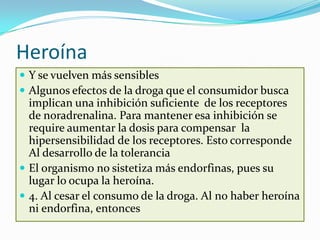 Heroína
 Y se vuelven más sensibles
 Algunos efectos de la droga que el consumidor busca
  implican una inhibición suficiente de los receptores
  de noradrenalina. Para mantener esa inhibición se
  require aumentar la dosis para compensar la
  hipersensibilidad de los receptores. Esto corresponde
  Al desarrollo de la tolerancia
 El organismo no sistetiza más endorfinas, pues su
  lugar lo ocupa la heroína.
 4. Al cesar el consumo de la droga. Al no haber heroína
  ni endorfina, entonces
 