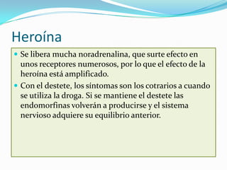 Heroína
 Se libera mucha noradrenalina, que surte efecto en
  unos receptores numerosos, por lo que el efecto de la
  heroína está amplificado.
 Con el destete, los síntomas son los cotrarios a cuando
  se utiliza la droga. Si se mantiene el destete las
  endomorfinas volverán a producirse y el sistema
  nervioso adquiere su equilibrio anterior.
 