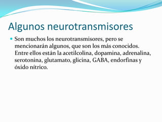 Algunos neurotransmisores
 Son muchos los neurotransmisores, pero se
 mencionarán algunos, que son los más conocidos.
 Entre ellos están la acetilcolina, dopamina, adrenalina,
 serotonina, glutamato, glicina, GABA, endorfinas y
 óxido nítrico.
 