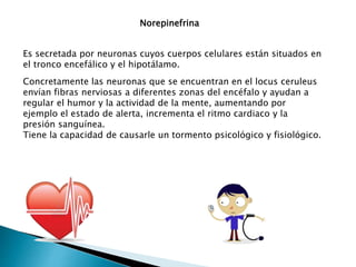Norepinefrina
Es secretada por neuronas cuyos cuerpos celulares están situados en
el tronco encefálico y el hipotálamo.
Concretamente las neuronas que se encuentran en el locus ceruleus
envían fibras nerviosas a diferentes zonas del encéfalo y ayudan a
regular el humor y la actividad de la mente, aumentando por
ejemplo el estado de alerta, incrementa el ritmo cardiaco y la
presión sanguínea.
Tiene la capacidad de causarle un tormento psicológico y fisiológico.
 