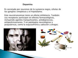 Dopamina
Es secretada por neuronas de la sustancia negra, células de
los ganglios simpáticos y el hipotálamo.
Este neurotransmisor tiene un efecto inhibitorio. También
sus receptores participan en efectos farmacológicos,
incluyendo agentes tranquilizantes, antidepresivos,
antiparkinsonianos. Y en patologías neurológicas y
psiquiátricas, como la esquizofrenia y adicción a drogas.
 
