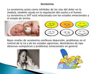 Serotonina
La serotonina actúa como inhibidor de las vías del dolor en la
medula, también ayuda en la regulación del sueño y el humor.
La serotonina o 5HT está relacionada con los estados emocionales y
el estado de ánimo.
Bajos niveles de serotonina conllevan depresión, problemas en el
control de la ira y de los estados agresivos, desórdenes de tipo
obsesivo-compulsivo y problemas emocionales en general
 