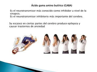 Ácido gama amino butírico (GABA)
Es el neurotransmisor más conocido como inhibidor a nivel de la
sinapsis.
Es el neurotransmisor inhibitorio más importante del cerebro.
Su escasez en ciertas partes del cerebro produce epilepsia y
causar trastornos de ansiedad
 