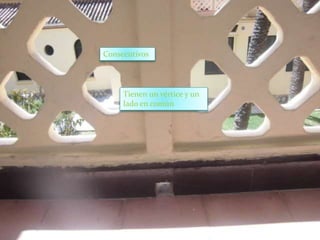 Consecutivos
Tienen un vértice y un
lado en común