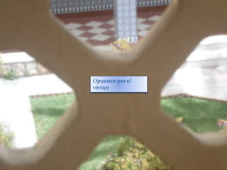 Opuestos por el
vértice