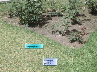 Ángulo recto
Mide 90
grados