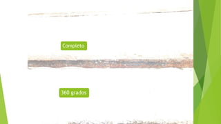 Completo
360 grados
 
