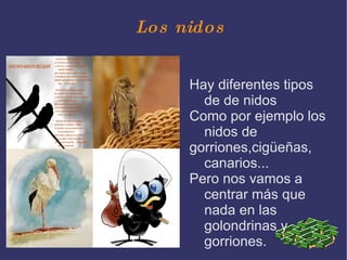 Los nidos ,[object Object]