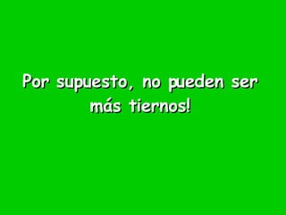 Por supuesto, no pueden ser más tiernos!