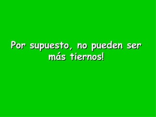 Por supuesto, no pueden ser más tiernos!