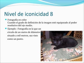 Nivel de iconicidad 8
 Fotografía en color
  Cuando el grado de definición de la imagen esté equiparado al poder
  resolutivo del ojo medio.
 Ejemplo : Fotografía en la que un
 círculo de un metro de diámetro
 situado a mil metros, sea visto
 como un punto.
 