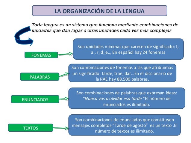 Los niveles de la lengua
