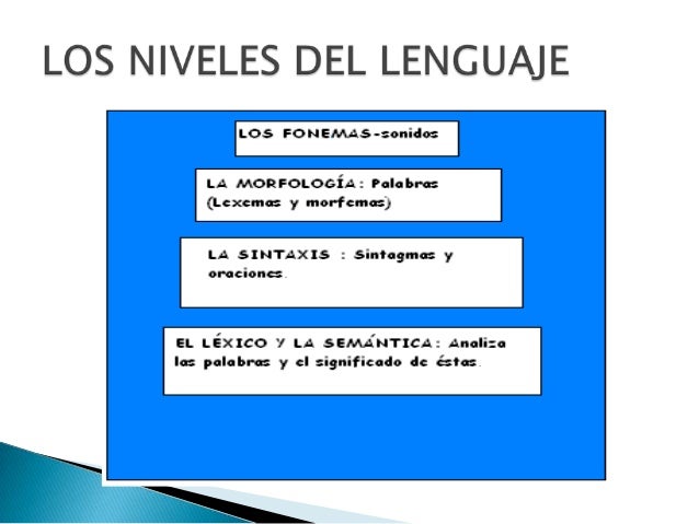 Los niveles del lenguaje