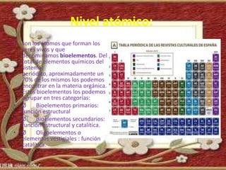 Nivel atómico:
• son los átomos que forman los
  seres vivos y que
  denominamos bioelementos. Del
  total de elementos químicos del
  sistema
  periódico, aproximadamente un
  70% de los mismos los podemos
  encontrar en la materia orgánica.
  Estos bioelementos los podemos
  agrupar en tres categorías:
• Ø     Bioelementos primarios:
  función estructural
• Ø     Bioelementos secundarios:
  función estructural y catalítica.
• Ø     Oligoelementos o
  elementos vestigiales : función
  catalítica.
 