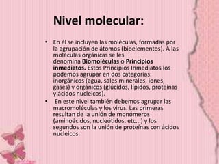 Nivel molecular:
• En él se incluyen las moléculas, formadas por
  la agrupación de átomos (bioelementos). A las
  moléculas orgánicas se les
  denomina Biomoléculas o Principios
  inmediatos. Estos Principios Inmediatos los
  podemos agrupar en dos categorías,
  inorgánicos (agua, sales minerales, iones,
  gases) y orgánicos (glúcidos, lípidos, proteínas
  y ácidos nucleicos).
• En este nivel también debemos agrupar las
  macromoléculas y los virus. Las primeras
  resultan de la unión de monómeros
  (aminoácidos, nucleótidos, etc...) y los
  segundos son la unión de proteínas con ácidos
  nucleicos.
 