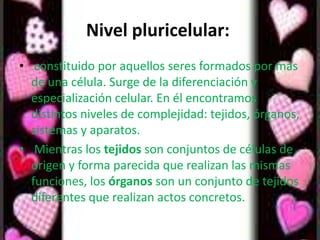 Nivel pluricelular:
• constituido por aquellos seres formados por más
  de una célula. Surge de la diferenciación y
  especialización celular. En él encontramos
  distintos niveles de complejidad: tejidos, órganos,
  sistemas y aparatos.
• Mientras los tejidos son conjuntos de células de
  origen y forma parecida que realizan las mismas
  funciones, los órganos son un conjunto de tejidos
  diferentes que realizan actos concretos.
 