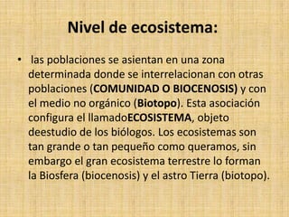 Nivel de ecosistema:
• las poblaciones se asientan en una zona
  determinada donde se interrelacionan con otras
  poblaciones (COMUNIDAD O BIOCENOSIS) y con
  el medio no orgánico (Biotopo). Esta asociación
  configura el llamadoECOSISTEMA, objeto
  deestudio de los biólogos. Los ecosistemas son
  tan grande o tan pequeño como queramos, sin
  embargo el gran ecosistema terrestre lo forman
  la Biosfera (biocenosis) y el astro Tierra (biotopo).
 