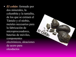  El coltán: formado por
dos minerales, la
columbita y la tantalita,
de los que se extraen el
Tántalo y el niobio,
metales necesarios para
la fabricación de
microprocesadores,
baterías de móviles,
componentes
electrónicos, aleaciones
de acero para
oleoductos
 