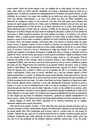 20
evitar rozarlo. Sobre una frente amplia y lisa, sus cabellos de un rubio pálido, tan finos como la
seda, caían sobre su cuello redondo, modelado con fuerza y delicadeza hasta la mitad de su
espalda recta. Su bella tez resultaba tan resplandeciente en la sombra que parecía formar un halo
alrededor de su cabeza. Los rasgos más notables de su rostro eran unos ojos azules, luminosos
como dos abiertas interrogantes, y su nariz recta sobre una boca de labios perfilados que
adquirían un voluptuoso sesgo en las comisuras. Ese año, Ana sólo pudo gozar durante una
semana de aquel apogeo máximo de L’Aínsa, pues la fatalidad acechaba como un torvo azor que
planta inesperadamente su nido de luto en la elipse caprichosa de su vuelo. Una mañana que
había amanecido bajo un lento cielo de amatista, el olfato de los sabuesos condujo al barón y a
Miguel por un profuso bosque de hayas hasta la madriguera del jabalí. Cuando ya en las puntas de
sus lanzas se había secado la escarcha, los canes alzaron sus orejas y se lanzaron a la carrera,
ladrando. Señor y vasallo picaron espuelas siguiendo su rastro sobre la hierba helada. Al cabo
empezó a sonar la tierra como un tambor y devolvió con furia el ladrido de los perros rehaciendo
el camino. Como una tromba acosada, corría hacia ellos y los jinetes un grisáceo jabalí de negro
hocico. Urríes, al galope, arqueó el torso y asestó un lanzazo tan vigoroso al cuello del feroz
animal que el chorro de sangre que brotó de su duro pelaje empapó el vientre de su corcel. Miguel
frenó su montura, echó pie a tierra y desenvainó la daga que llevaba al cinto. Con un agudo
gruñido que espantó a los pájaros del bosque, el jabalí giró sobre sí mismo y arremetió contra el
caballo de Urríes, con tal fuerza, que jinete y corcel cayeron derribados. Miguel se abalanzó sobre
la crin erizada de la fiera y le hundió en la frente la daga, hasta la cruz del gavilán. Pero la
violencia del golpe lo hizo resbalar sobre el grasiento animal y cayó volteando sobre la tierra
congelada. El jabalí, antes de morir, tuvo fuerza para seccionar con sus curvos colmillos la yugular
del padre de Ana. Miguel Aniés fue enterrado en el panteón familiar del barón, entre su amada
Sandra y doña Blanca. Ana, llorándolo con infinito desconsuelo, regresó con Urríes a Zaragoza.
Vistió de riguroso luto y suplicó a Fatma que no se apartase de ella ni un instante, pues tenía
miedo a desmayarse. Lívida como la ceniza, ordenaba una y otra vez cuantos objetos y libros
habían pertenecido a su padre. Se frotaba las manos continuamente, como para borrar lo que las
hacía temblar. Las habitaciones de la casa le parecían enormes desiertos por los que avanzaba con
el lento azoramiento de una ciega. Sin saber cómo llenar las horas, hojeaba con impaciencia algún
libro, leyendo algunas líneas y pasando a otros que abandonaba enseguida. Cuando se ponía a
bordar o a coser, su aya se instalaba frente a ella y las dos se quedaban en silencio. La morisca
observaba que las más de las veces la labor reposaba, al cabo, en las rodillas de su señora, entre
sus manos indolentes, mientras su rostro adquiría una plúmbea palidez resaltada por el ardor de la
fiebre titilando en sus ojos azules. Era evidente que ninguna posibilidad de porvenir se estremecía
en ella. Dejaba que las horas le resbalaran lentamente, gestando la soledad inexplicable de un
futuro oscuro y hondo. Ni siquiera la ternura de Fatma podía confortar su frente envuelta de vacío.
Apenas llegado el otoño, Don Pedro, apiadado de la inmensa desolación de su ahijada,
determinó alejarla hacia nuevos horizontes.
─Me marcho de la ciudad ─le dijo─. Y bien sabe Dios que nada me causaría más gozo que os
vinieseis conmigo a L'Aínsa, donde deseo reposar mis últimos días rodeado de una naturaleza que
he amado desde niño. Pero comprendo que la honra, tanto la vuestra como la mía propia, lo
impiden. Además de que, para vos, la continua presencia de un anciano no podría resultar grata ni
ventajosa. Compruebo que estáis abismada de dolor por la muerte de vuestro padre, pero, hija
mía, aún en lo más profundo de las tinieblas debemos defender nuestra vida. Y vos, tan joven,
 