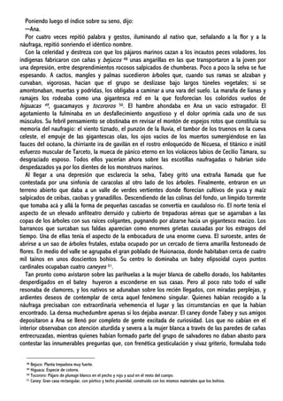 Poniendo luego el índice sobre su seno, dijo:
─Ana.
Por cuatro veces repitió palabra y gestos, iluminando al nativo que, señalando a la flor y a la
náufraga, repitió sonriendo el idéntico nombre.
Con la celeridad y destreza con que los pájaros marinos cazan a los incautos peces voladores, los
indígenas fabricaron con cañas y bejucos 48 unas angarillas en las que transportaron a la joven por
una depresión, entre desprendimientos rocosos salpicados de chumberas. Poco a poco la selva se fue
espesando. A cactos, mangles y palmas sucedieron árboles que, cuando sus ramas se alzaban y
curvaban, vigorosas, hacían que el grupo se deslizase bajo largos túneles vegetales; si se
amontonaban, muertas y podridas, los obligaba a caminar a una vara del suelo. La maraña de lianas y
ramajes los rodeaba como una gigantesca red en la que fosforecían los coloridos vuelos de
higuacas 49, guacamayos y tocororos 50. El hambre ahondaba en Ana un vacío estragador. El
agotamiento la fulminaba en un desfallecimiento angustioso y el dolor oprimía cada uno de sus
músculos. Su febril pensamiento se obstinaba en revisar el montón de espejos rotos que constituía su
memoria del naufragio: el viento tiznado, el punzón de la lluvia, el tambor de los truenos en la cueva
celeste, el empuje de las gigantescas olas, los ojos vacíos de los muertos sumergiéndose en las
fauces del océano, la chirriante ira de gavilán en el rostro enloquecido de Nicuesa, el titánico e inútil
esfuerzo muscular de Tarceto, la mueca de pánico eterno en los violáceos labios de Cecilio Támara, su
desgraciado esposo. Todos ellos yacerían ahora sobre las escotillas naufragadas o habrían sido
despedazados ya por los dientes de los monstruos marinos.
Al llegar a una depresión que esclarecía la selva, Tabey gritó una extraña llamada que fue
contestada por una sinfonía de caracolas al otro lado de los árboles. Finalmente, entraron en un
terreno abierto que daba a un valle de verdes vertientes donde florecían cultivos de yuca y maíz
salpicados de ceibas, caobas y granadillos. Descendiendo de las colinas del fondo, un límpido torrente
que tomaba acá y allá la forma de pequeñas cascadas se convertía en caudaloso río. El norte tenía el
aspecto de un elevado anfiteatro derruido y cubierto de trepadoras aéreas que se agarraban a las
copas de los árboles con sus raíces colgantes, pugnando por alzarse hacia un gigantesco macizo. Los
barrancos que surcaban sus faldas aparecían como enormes grietas causadas por los estragos del
tiempo. Una de ellas tenía el aspecto de la embocadura de una enorme cueva. El suroeste, antes de
abrirse a un sao de árboles frutales, estaba ocupado por un cercado de tierra amarilla festoneado de
flores. En medio del valle se agrupaba el gran poblado de Huionacoa, donde habitaban cerca de cuatro
mil taínos en unos doscientos bohíos. Su centro lo dominaba un batey elipsoidal cuyos puntos
cardinales ocupaban cuatro caneyes 51.
Tan pronto como avistaron sobre las parihuelas a la mujer blanca de cabello dorado, los habitantes
desperdigados en el batey huyeron a esconderse en sus casas. Pero al poco rato todo el valle
resonaba de clamores, y los nativos se adunaban sobre los recién llegados, con miradas perplejas, y
ardientes deseos de contemplar de cerca aquel fenómeno singular. Quienes habían recogido a la
náufraga precisaban con extraordinaria vehemencia el lugar y las circunstancias en que la habían
encontrado. La densa muchedumbre apenas si los dejaba avanzar. El caney donde Tabey y sus amigos
depositaron a Ana se llenó por completo de gente excitada de curiosidad. Los que no cabían en el
interior observaban con atención aturdida y severa a la mujer blanca a través de las paredes de cañas
entrecruzadas, mientras quienes habían formado parte del grupo de salvadores no daban abasto para
contestar las innumerables preguntas que, con frenética gesticulación y vivaz griterío, formulaba todo
48 Bejuco: Planta trepadora muy fuerte.
49 Higuaca: Especie de cotorra.
50 Tocororo: Pájaro de plumaje blanco en el pecho y rojo y azul en el resto del cuerpo.
51 Caney: Gran casa rectangular, con pórtico y techo piramidal, construido con los mismos materiales que los bohíos.
 