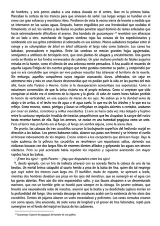 de hombres, y seis perros atados a una estaca clavada en el centro, iban en la primera balsa.
Marcaban la corteza de los troncos para que sirviesen de señal. Las largas vergas se hundían en el
cieno con gran esfuerzo y monótono ritmo. Perdieron de vista la vecina sierra de levante a medida que
se internaron en las sucias aguas. Después, fueron engullidos por una frondosidad que ocultaba el
firmamento; el sol, los vientos y las lluvias no podían penetrar aquel dominio de ramas enlazadas que
hacía extremadamente dificultoso el avance. Una bandada de guacamayos 27 revoloteó con alharacas
de un lado a otro, manchando de fugaces sombras rojas las corazas de los expedicionarios y
sembrando con sus gritos estridentes el sobresalto en sus ánimos. Monos aulladores trepaban entre el
ramaje y se columpiaban de árbol en árbol utilizando el largo rabo como balancín. Los canes les
ladraban, provocadores e inquietos. Entre las sombras se mecían grandes hojas agujereadas,
semejantes a antifaces de terciopelo ocre, que eran plantas de añagaza y encubrimiento. Una guerra
sorda se libraba en los fondos enrevesados de culebras. Un gran mutismo preñado de fatales augurios
reinaba en la hueste, como el silencio de una ardorosa mente pensadora. A Ana acudió el recuerdo de
aquella Laguna Estigia de los cuentos griegos que tanto gustaba comentar su padre, y comprendió por
qué no era concebible que ningún ser vivo pudiese resucitar tras atravesar el territorio de la muerte.
Sin embargo, aquellos compañeros suyos seguían avanzando; duros, afiebrados, sin cejar en
adentrarse más y más en unas fauces desconocidas que no podían parir la vida en las puertas del más
allá, fuese éste Paraíso o Averno. Como si la desesperación acrecentase sus esperanzas. Como si
estuviesen convencidos de que la única victoria era el propio esfuerzo. Como si creyesen que sólo
conquistar al miedo era el comienzo de la riqueza y la gloria. Al cabo de cuatro horas habían perdido
la noción de verticalidad, en una especie de mareo de los ojos. No sabían ya si la claridad venía de
abajo o de arriba, si el techo era de agua o el agua suelo, lo que era de los árboles y lo que era su
reflejo. Como troncos, ramas, pértigas y lianas se reflejaban en ángulos abiertos o cerrados, acabaron
por creer en salidas, corredores y orillas inexistentes. El aire se hacía cada vez más delgado y fugitivo
entre la suntuosa vegetación invadida de insectos pequeñísimos que les chupaban la sangre del rostro
hasta reventar hartos de ella. Bajo los arneses, se cocían en una humedad pegajosa como un unto.
Pero el terror más profundo era el fango; el fango sin sombra alguna, como la arena clara.
De pronto, las cabezas de tres cocodrilos surcaron la burbujeante superficie del hediondo marjal en
dirección a las balsas. Los perros babearon rabia, alzaron sus patas con frenesí y se hirieron el cuello
al tironear rabiosamente de los dogales. Enciso ordenó a los escopeteros que abriesen fuego. Bajo la
nube azulenca de la pólvora los cocodrilos se revolvieron con espantosos saltos, abriendo sus
violáceas bocazas con dos largas filas de enormes dientes afilados y golpeando las aguas con atroces
coletazos. Pero su piel acorazada había repelido los impactos y siguieron avanzando con mayor
rapidez hacia las balsas.
─¡Entre los ojos! ─gritó Pizarro─ ¡Hay que dispararles entre los ojos!
Y, dando ejemplo, con un tiro de ballesta atravesó con su acerada flecha la cabeza de una de las
bestias. Un mortal brinco catapultó al saurio herido a proa de la balsa de Ana, quien dio tal respingo
que cayó sobre los troncos cuan larga era. El bachiller, mudo de espanto, se apresuró a izarla,
mientras dos hombres clavaban sus picas en los ojos del monstruo, que se sumergió en el agua con
las garras abiertas. Pero aún dio otro espasmódico salto, y sus fauces atraparon a un desventurado
marinero, que con un horrible grito se hundió para siempre en la ciénaga. Un postrer coletazo, que
levantó una nauseabunda nube de insectos, anunció que la bestia y su desdichada captura morían en
la profundidad del fango. Una cerrada descarga de arcabuces acabó con la existencia de los otros dos
cocodrilos. Cientos de pájaros alzaron un vuelo escandaloso y policromo. Las ranas cornudas croaron
con sorna opaca. Una anaconda, de siete varas de longitud y el grosor de tres falconetes, reptó para
sumergirse en el fondo del marjal en busca de los cadáveres.
27 Guacamayo: Especie de papagayo del tamaño de una gallina.
 