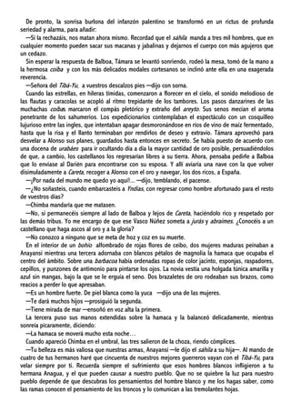 De pronto, la sonrisa burlona del infanzón palentino se transformó en un rictus de profunda
seriedad y alarma, para añadir:
─Si la rechazáis, nos matan ahora mismo. Recordad que el sáhila manda a tres mil hombres, que en
cualquier momento pueden sacar sus macanas y jabalinas y dejarnos el cuerpo con más agujeros que
un cedazo.
Sin esperar la respuesta de Balboa, Támara se levantó sonriendo, rodeó la mesa, tomó de la mano a
la hermosa coíba y con los más delicados modales cortesanos se inclinó ante ella en una exagerada
reverencia.
─Señora del Tibá-Yu, a vuestros descalzos pies ─dijo con sorna.
Cuando las estrellas, en hileras tímidas, comenzaron a florecer en el cielo, el sonido melodioso de
las flautas y caracolas se acopló al ritmo trepidante de los tambores. Los pasos danzarines de las
muchachas coíbas marcaron el compás pletórico y extraño del areyto. Sus senos mecían el aroma
penetrante de los sahumerios. Los expedicionarios contemplaban el espectáculo con un cosquilleo
lujurioso entre las ingles, que intentaban apagar desmoronándose en ríos de vino de maíz fermentado,
hasta que la risa y el llanto terminaban por rendirlos de deseo y extravío. Támara aprovechó para
desvelar a Alonso sus planes, guardados hasta entonces en secreto. Se había puesto de acuerdo con
una docena de urabáes para ir ocultando día a día la mayor cantidad de oro posible, persuadiéndolos
de que, a cambio, los castellanos los regresarían libres a su tierra. Ahora, pensaba pedirle a Balboa
que lo enviase al Darién para encontrarse con su esposa. Y allí aviaría una nave con la que volver
disimuladamente a Careta, recoger a Alonso con el oro y navegar, los dos ricos, a España.
─¡Por nada del mundo me quedo yo aquí!... ─dijo, temblando, el pacense.
─¿No soñasteis, cuando embarcasteis a Yndias, con regresar como hombre afortunado para el resto
de vuestros días?
─Chimba mandaría que me matasen.
─No, si permanecéis siempre al lado de Balboa y lejos de Careta, haciéndolo rico y respetado por
las demás tribus. Yo me encargo de que ese Vasco Núñez someta a jurás y abraimes. ¿Conocéis a un
castellano que haga ascos al oro y a la gloria?
─No conozco a ninguno que se meta de hoz y coz en su muerte.
En el interior de un bohío alfombrado de rojas flores de ceibo, dos mujeres maduras peinaban a
Anayansi mientras una tercera adornaba con blancos pétalos de magnolia la hamaca que ocupaba el
centro del ámbito. Sobre una barbacoa había ordenadas ropas de color jacinto, esponjas, raspadores,
cepillos, y punzones de antimonio para pintarse los ojos. La novia vestía una holgada túnica amarilla y
azul sin mangas, bajo la que se le erguía el seno. Dos brazaletes de oro rodeaban sus brazos, como
reacios a perder lo que apresaban.
─Es un hombre fuerte. De piel blanca como la yuca ─dijo una de las mujeres.
─Te dará muchos hijos ─prosiguió la segunda.
─Tiene mirada de mar ─ensoñó en voz alta la primera.
La tercera puso sus manos extendidas sobre la hamaca y la balanceó delicadamente, mientras
sonreía pícaramente, diciendo:
─La hamaca se moverá mucho esta noche…
Cuando apareció Chimba en el umbral, las tres salieron de la choza, riendo cómplices.
─Tu belleza es más valiosa que nuestras armas, Anayansi ─le dijo el sáhila a su hija─. Al mando de
cuatro de tus hermanos haré que cincuenta de nuestros mejores guerreros vayan con el Tibá-Yu, para
velar siempre por ti. Recuerda siempre el sufrimiento que esos hombres blancos infligieron a tu
hermana Anagua, y el que pueden causar a nuestro pueblo. Que no se quiebre la luz para nuestro
pueblo depende de que descubras los pensamientos del hombre blanco y me los hagas saber, como
las ramas conocen el pensamiento de los troncos y lo comunican a las tremolantes hojas.
 