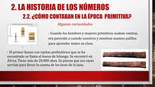 2. LA HISTORIA DE LOS NÚMEROS
2.2. ¿CÓMO CONTABAN EN LA ÉPOCA PRIMITIVA?
Algunas curiosidades
- Cuando los hombres y mujeres primitivos usaban ramitas,
era parecido a cuando nosotros y nosotras usamos palillos
para aprender mates en clase.
- El primer hueso con rayitas prehistórico que se ha
encontrado se llama el hueso de Ishango. Se encontró en
África. Tiene más de 20.000 años. Se piensa que sus rayas
servían para llevar la cuenta de las fases de la luna.
 