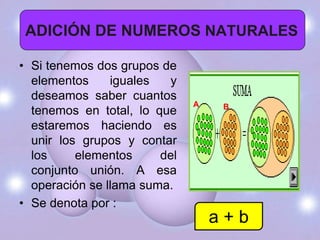 ADICIÓN DE NUMEROS NATURALES

• Si tenemos dos grupos de
  elementos     iguales  y
  deseamos saber cuantos
                              A    B
  tenemos en total, lo que
  estaremos haciendo es
  unir los grupos y contar
  los     elementos     del
  conjunto unión. A esa
  operación se llama suma.
• Se denota por :
                                  a+b
 
