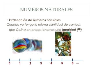 NUMEROS NATURALES 
• Ordenación de números naturales. 
Cuando yo tengo la misma cantidad de canicas 
que Celina entonces tenemos una igualdad (=) 
 