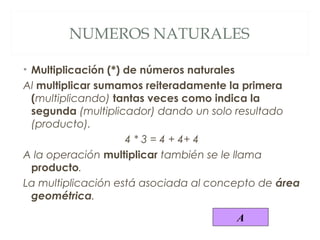 NUMEROS NATURALES 
• Multiplicación (*) de números naturales 
Al multiplicar sumamos reiteradamente la primera 
(multiplicando) tantas veces como indica la 
segunda (multiplicador) dando un solo resultado 
(producto). 
4 * 3 = 4 + 4+ 4 
A la operación multiplicar también se le llama 
producto. 
La multiplicación está asociada al concepto de área 
geométrica. 
A 
 