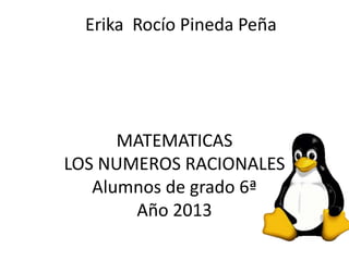 Erika Rocío Pineda Peña

MATEMATICAS
LOS NUMEROS RACIONALES
Alumnos de grado 6ª
Año 2013

 