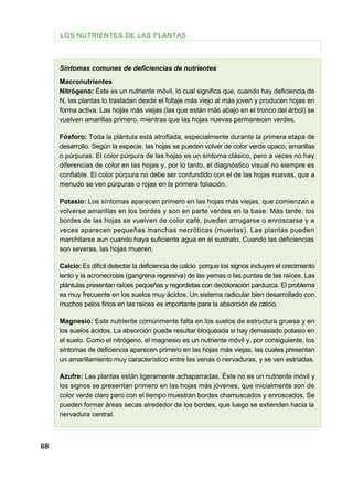 68
LOS NUTRIENTES DE LAS PLANTAS
Síntomas comunes de deficiencias de nutrientes
Macronutrientes
Nitrógeno: Éste es un nutriente móvil, lo cual significa que, cuando hay deficiencia de
N, las plantas lo trasladan desde el follaje más viejo al más joven y producen hojas en
forma activa. Las hojas más viejas (las que están más abajo en el tronco del árbol) se
vuelven amarillas primero, mientras que las hojas nuevas permanecen verdes.
Fósforo: Toda la plántula está atrofiada, especialmente durante la primera etapa de
desarrollo. Según la especie, las hojas se pueden volver de color verde opaco, amarillas
o púrpuras. El color púrpura de las hojas es un síntoma clásico, pero a veces no hay
diferencias de color en las hojas y, por lo tanto, el diagnóstico visual no siempre es
confiable. El color púrpura no debe ser confundido con el de las hojas nuevas, que a
menudo se ven púrpuras o rojas en la primera foliación.
Potasio: Los síntomas aparecen primero en las hojas más viejas, que comienzan a
volverse amarillas en los bordes y son en parte verdes en la base. Más tarde, los
bordes de las hojas se vuelven de color café, pueden arrugarse o enroscarse y a
veces aparecen pequeñas manchas necróticas (muertas). Las plantas pueden
marchitarse aun cuando haya suficiente agua en el sustrato. Cuando las deficiencias
son severas, las hojas mueren.
Calcio:Es difícil detectar la deficiencia de calcio porque los signos incluyen el crecimiento
lento y la acronecrosis (gangrena regresiva) de las yemas o las puntas de las raíces. Las
plántulas presentan raíces pequeñas y regordetas con decoloración parduzca. El problema
es muy frecuente en los suelos muy ácidos. Un sistema radicular bien desarrollado con
muchos pelos finos en las raíces es importante para la absorción de calcio.
Magnesio: Este nutriente comúnmente falta en los suelos de estructura gruesa y en
los suelos ácidos. La absorción puede resultar bloqueada si hay demasiado potasio en
el suelo. Como el nitrógeno, el magnesio es un nutriente móvil y, por consiguiente, los
síntomas de deficiencia aparecen primero en las hojas más viejas, las cuales presentan
un amarillamiento muy característico entre las venas o nervaduras, y se ven estriadas.
Azufre: Las plantas están ligeramente achaparradas. Éste no es un nutriente móvil y
los signos se presentan primero en las hojas más jóvenes, que inicialmente son de
color verde claro pero con el tiempo muestran bordes chamuscados y enroscados. Se
pueden formar áreas secas alrededor de los bordes, que luego se extienden hacia la
nervadura central.
 