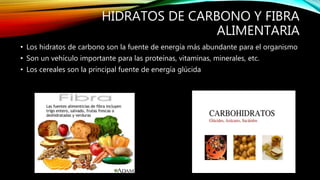 GLÚCIDOS
• También llamados Hidratos de Carbono o azúcares, aportan energía a las células
¿Qué tipos de carbohidratos hay?...