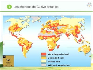 10
Los Métodos de Cultivo actuales1
 