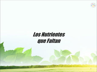 3
Los Nutrientes
que Faltan
 