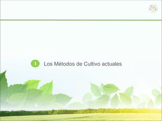 1 Los Métodos de Cultivo actuales
 