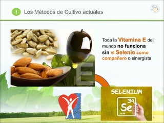 9
Toda la Vitamina E del
mundo no funciona
sin el Selenio como
compañero o sinergista
Los Métodos de Cultivo actuales1
 