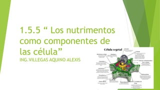 1.5.5 “ Los nutrimentos
como componentes de
las célula”
ING.VILLEGAS AQUINO ALEXIS
 
