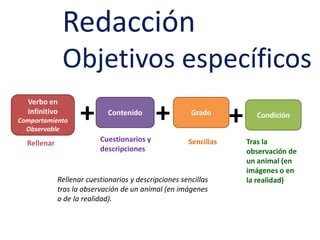 RedacciónObjetivos específicos+++Verbo en infinitivoComportamiento ObservableContenidoGradoCondiciónCuestionarios y descripcionesSencillasTras la observación de un animal (en imágenes o en la realidad)RellenarRellenar cuestionarios y descripciones sencillas tras la observación de un animal (en imágenes o de la realidad). 