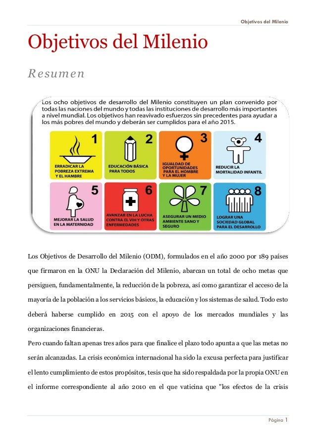 Los Objetivos Del Milenio