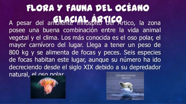 Los océanos