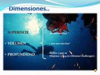  SUPERFICIE    361 000 000 km ²



 VOLUMEN       1 300 000 000 km³


                Media: 3 900 m
 PROFUNDIDAD   Máxima: 11 034 m (Abismo Challenger)
 