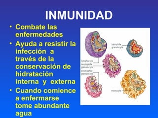 INMUNIDAD
• Combate las
enfermedades
• Ayuda a resistir la
infección a
través de la
conservación de
hidratación
interna y externa
• Cuando comience
a enfermarse
tome abundante
agua
 