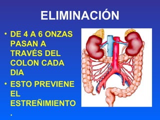 ELIMINACIÓN
• DE 4 A 6 ONZAS
PASAN A
TRAVÉS DEL
COLON CADA
DIA
• ESTO PREVIENE
EL
ESTREÑIMIENTO
.
 